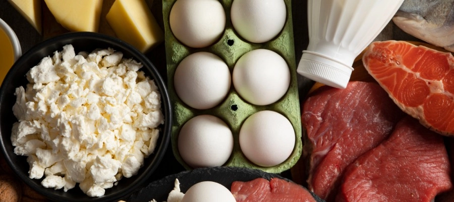 Imagem do post Como tomar vitamina B12? Melhor horário e principais fontes