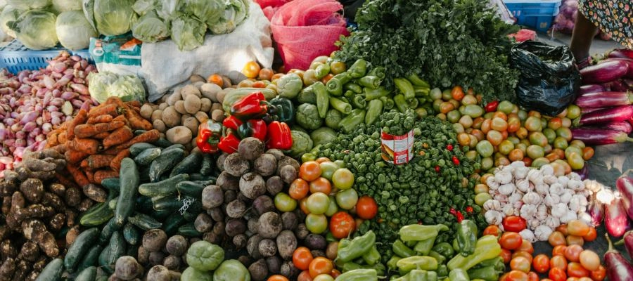 Imagem do post Vitaminas e sais minerais: para que servem e como encontrar?